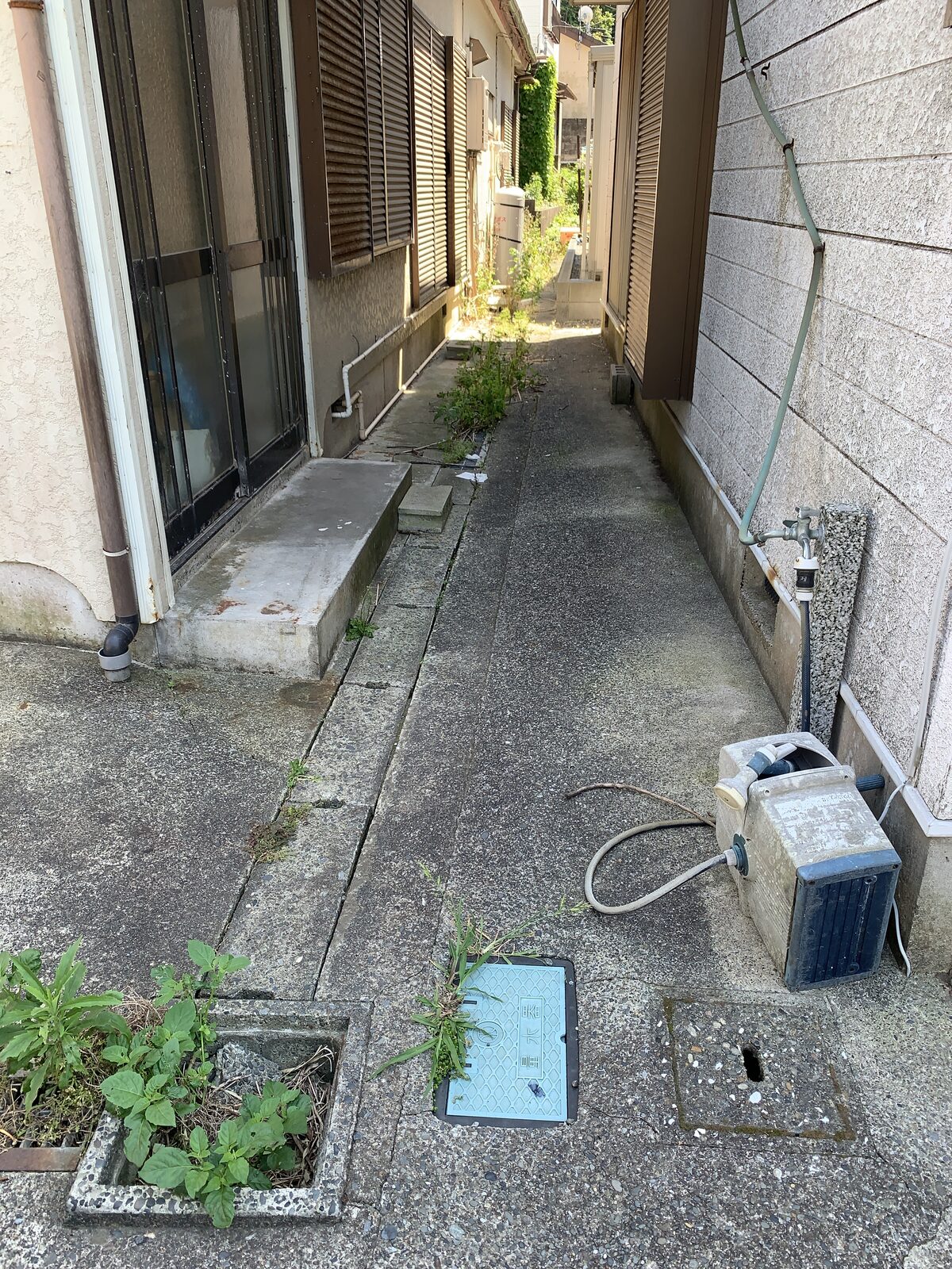 作業前・犬走りと側溝に生えた雑草