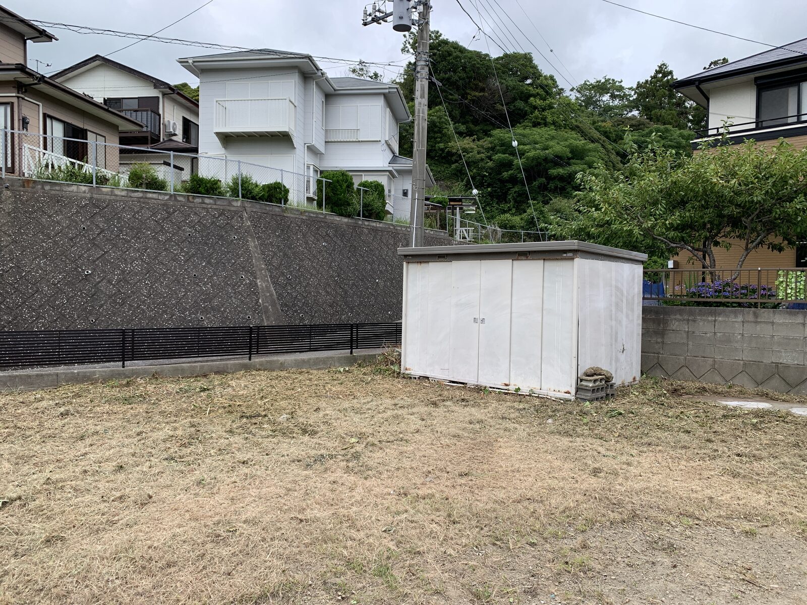 作業後・刈り上がった敷地