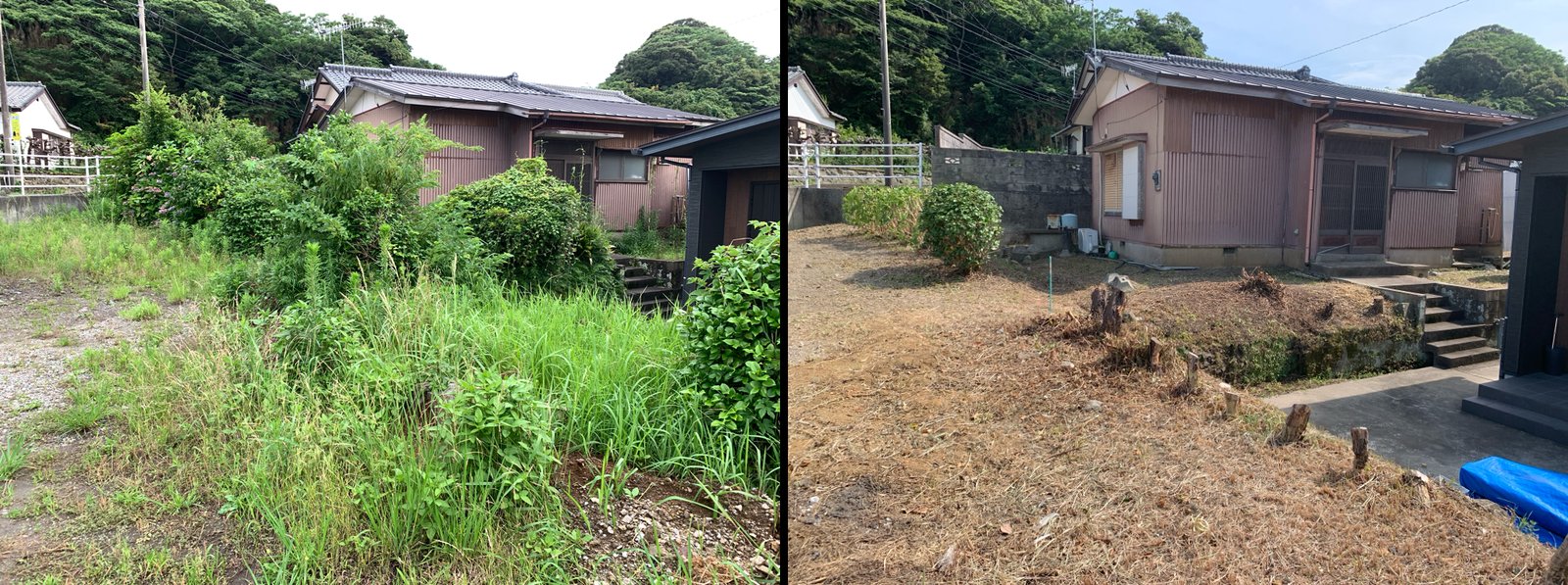 草刈り・伐採・刈り込み ビフォーアフター 館山市