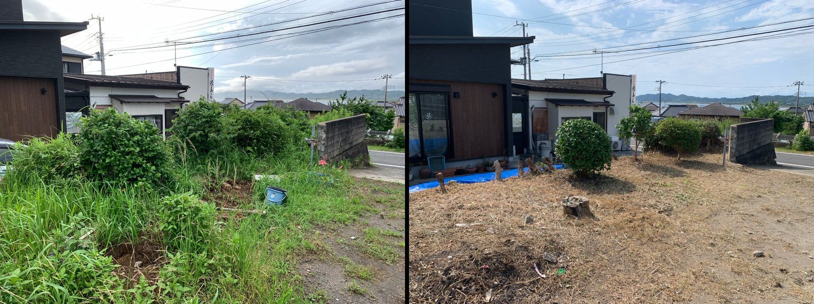 草刈り・伐採・刈り込み ビフォーアフター 南房総市