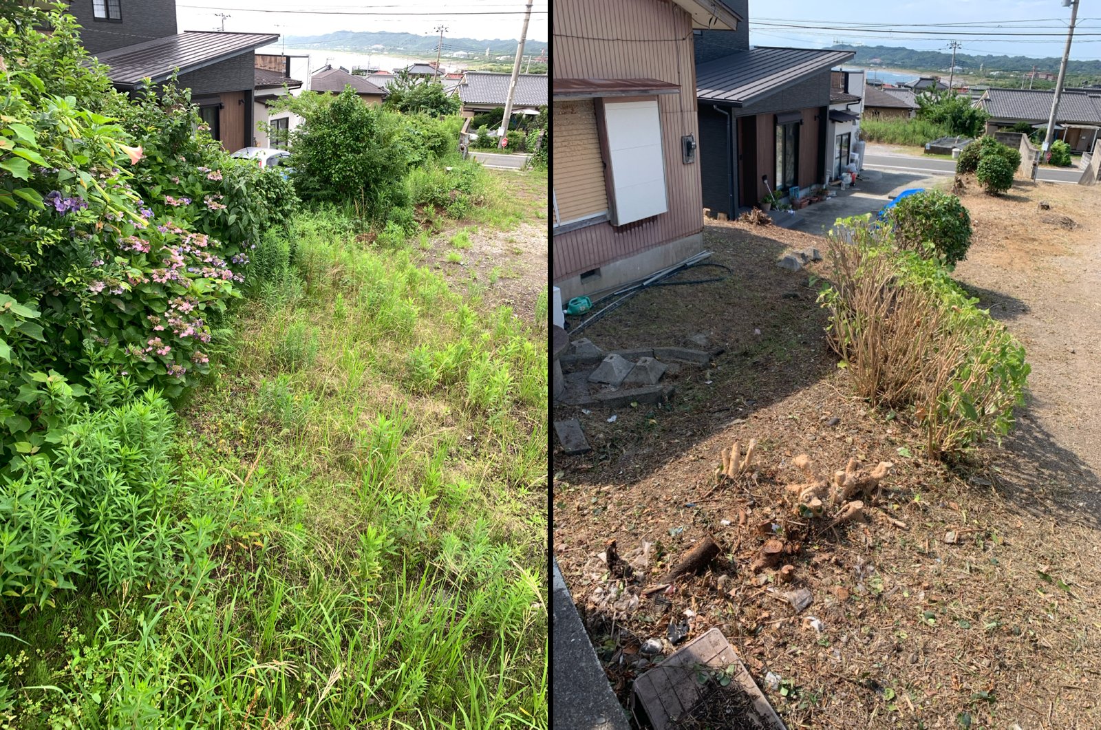 館山市の旧家敷地｜草刈り・伐採・刈り込み後の全景ビフォーアフター（上から）